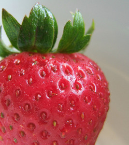 Die kleinen Körner auf der Haut der Erdbeere sind gleichzeitig die Samen