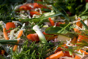 Aus-dem-Gemüsegarten-frisch-auf-den-Küchentisch-Gemüse-Rezepte - sind-angesagt